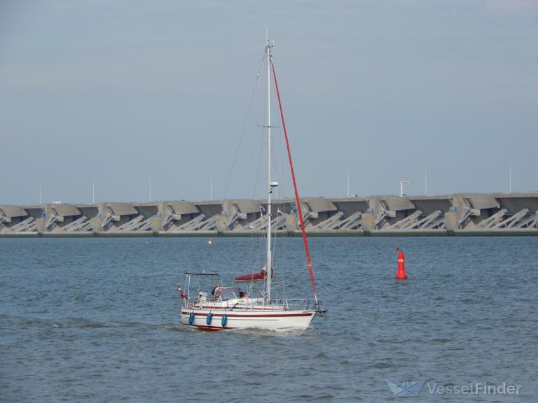 KRAEN VESTER photo