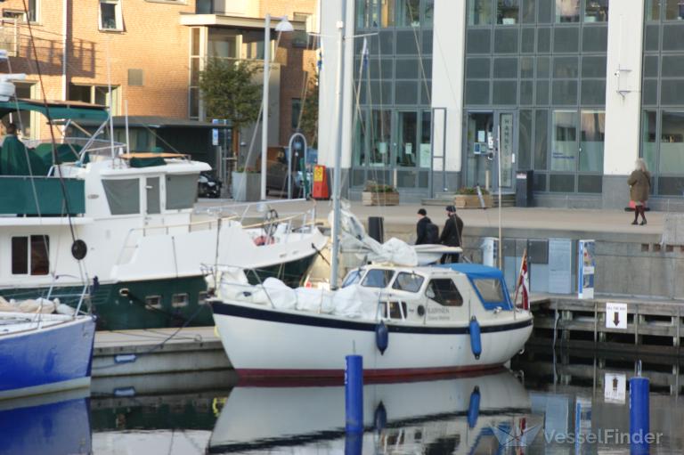 BJOERNEN photo