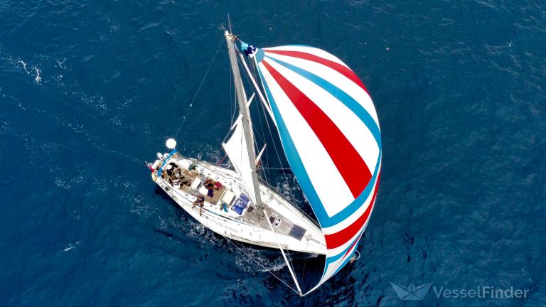SAGA 47 SWAN photo