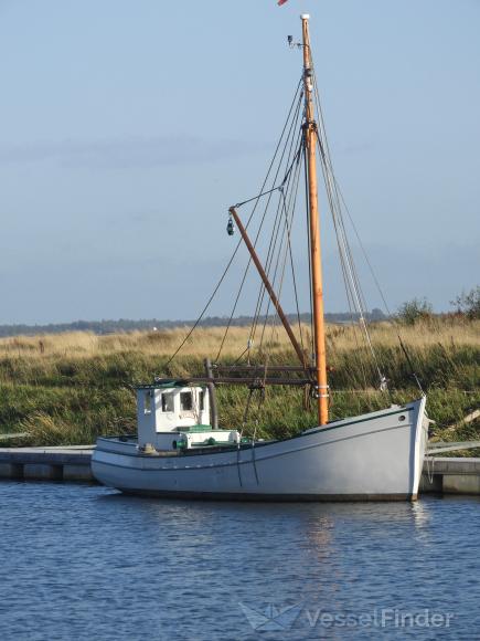 KAREN AF MANDOE photo