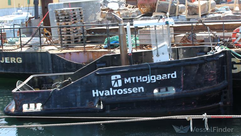 HVALROSSEN photo