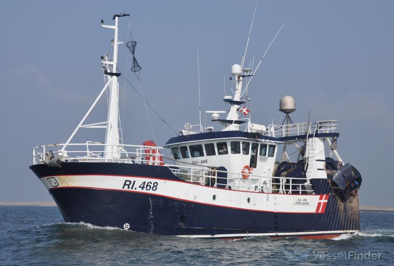 RI468 JULI-ANE photo