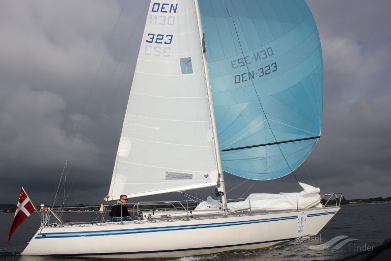 CHELSEA SOLO SAILOR photo