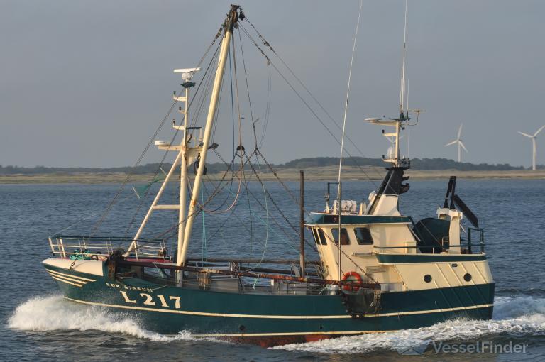 L217 SDR.NISSUM photo