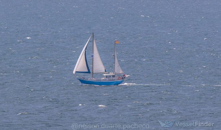 O TRITON photo