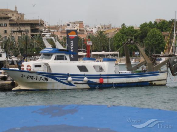 ES LLEVANT photo
