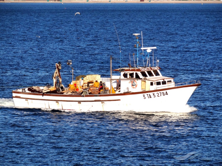 EBENISTA PRIMER photo