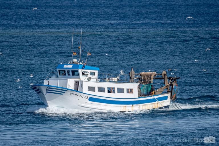 PITO QUINTANA F photo