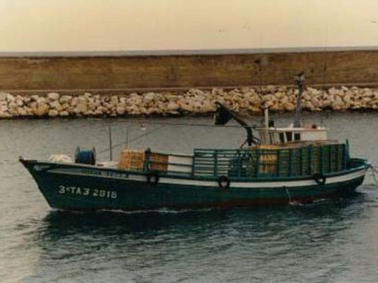 ROSA TECLA photo