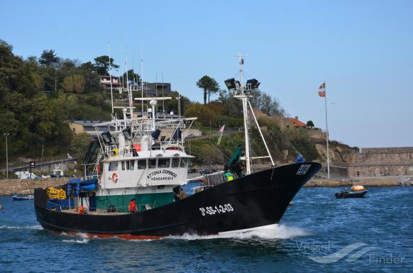 ATTONA DOMINGO photo