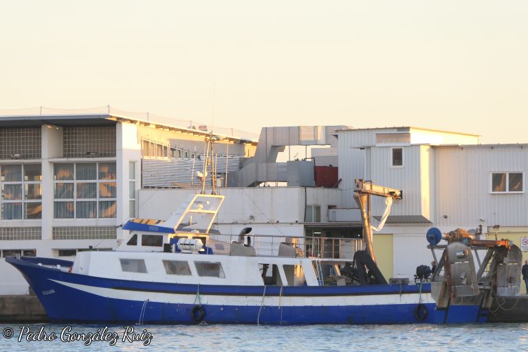 PES GAMAR PRIMERO photo