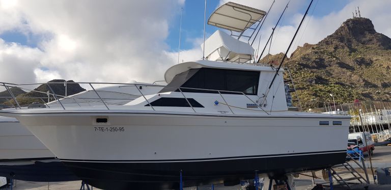 SEA WESS photo