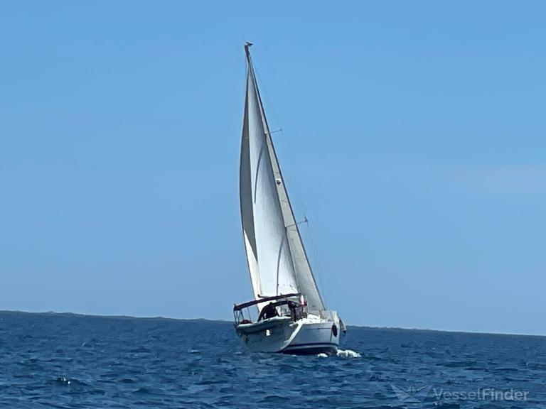KIALOHA photo