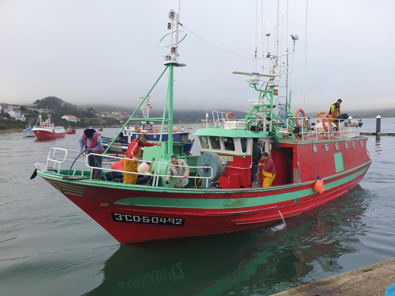 VIENTO Y CALMA photo