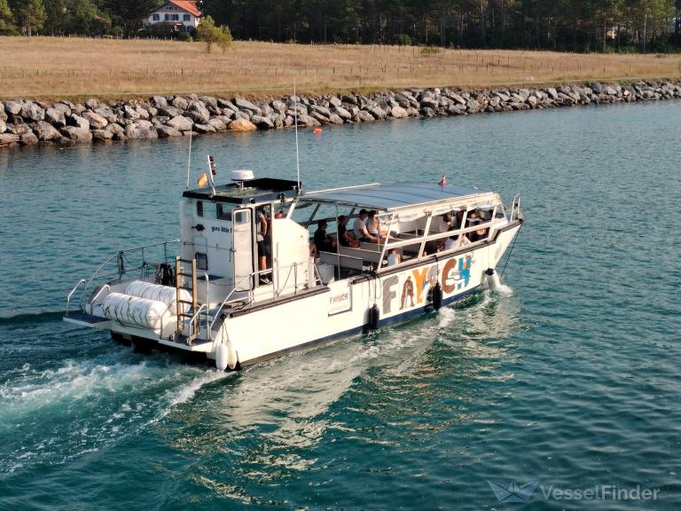 GURE LITTLE FLYSCH photo