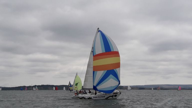 MAR MENOR photo