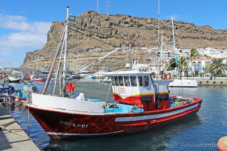 NUEVO CALYPSO photo