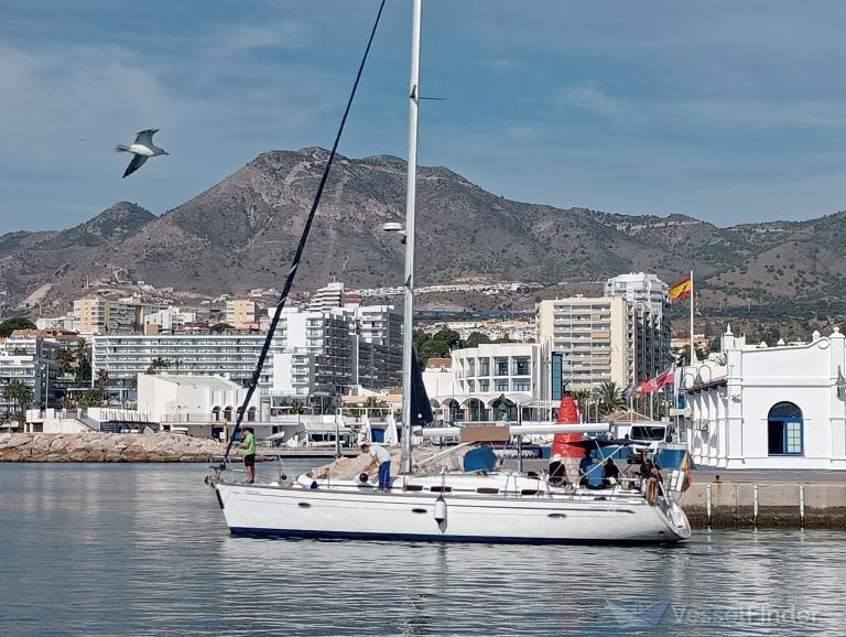 DIOSA ARTEMISA photo