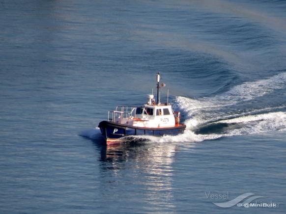 PILOTS AMOSUCAS P photo