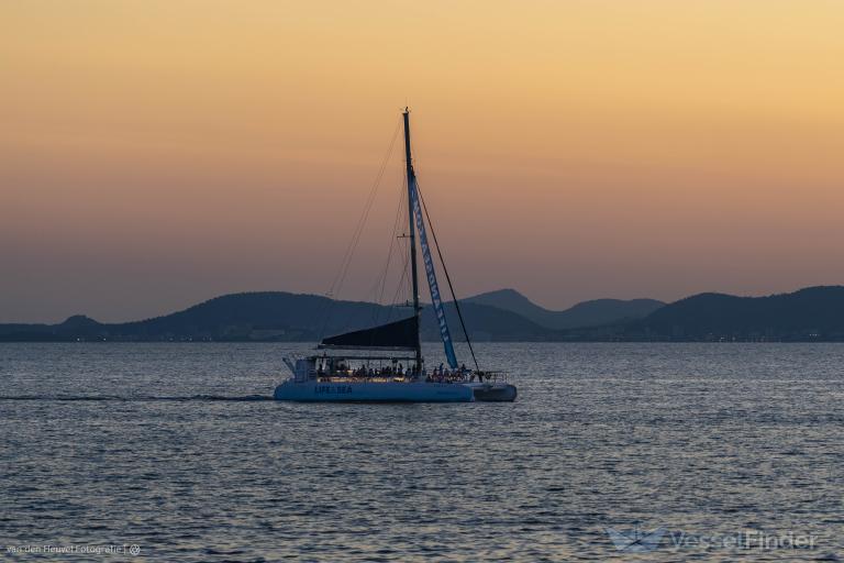 PALMA BAY CATAMARAN photo