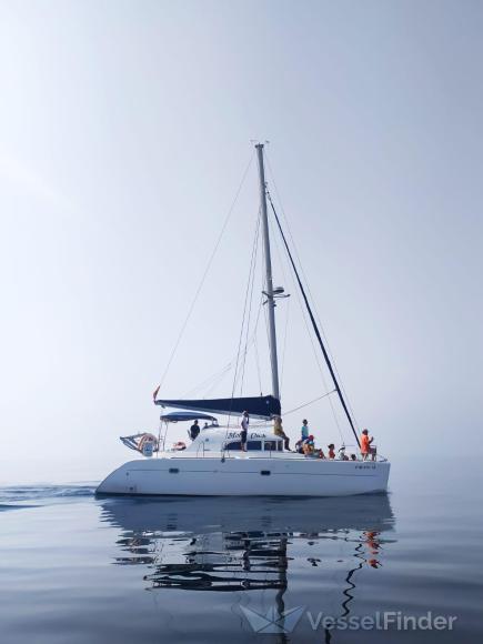 MOBY DICK photo