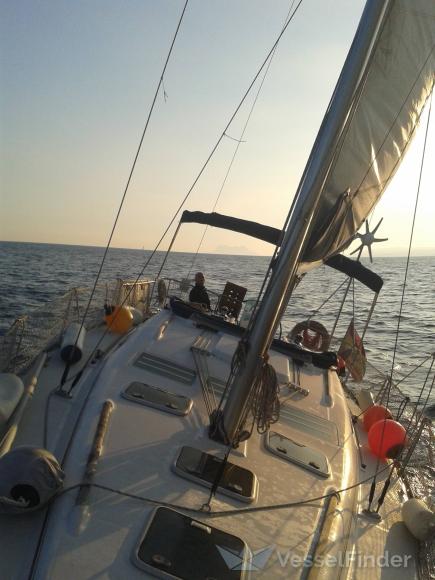 BORBOLETA photo