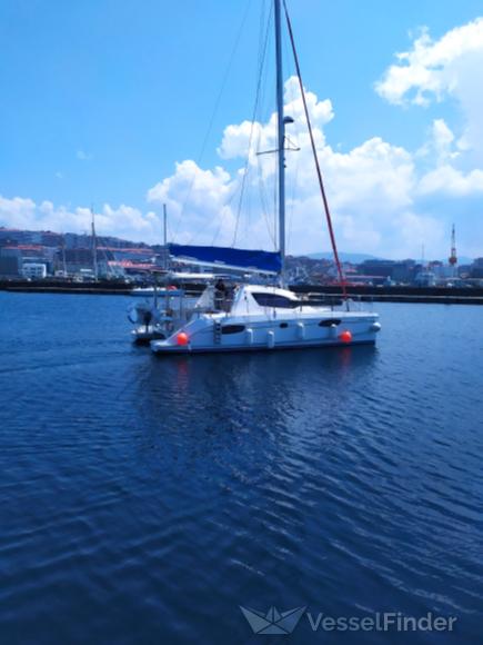 MOLINILLO photo