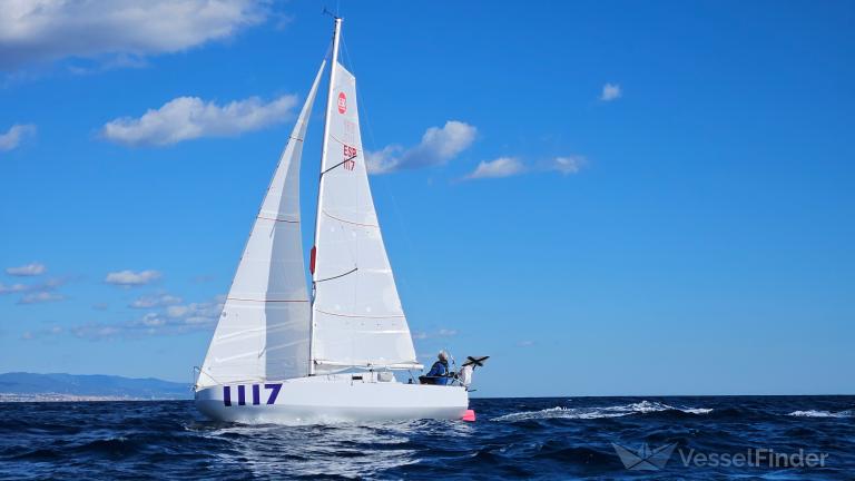 MUXU-SOLO SAILOR photo