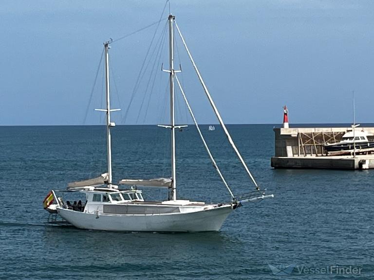 TOPAZ OF BRAYE photo