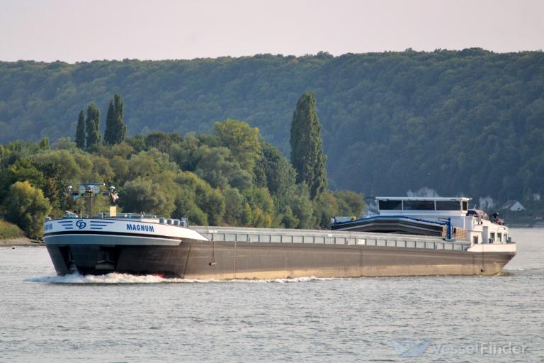 MAGNUM