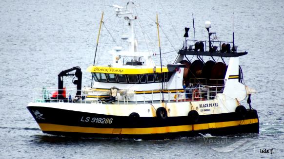 FV BLACK PEARL photo