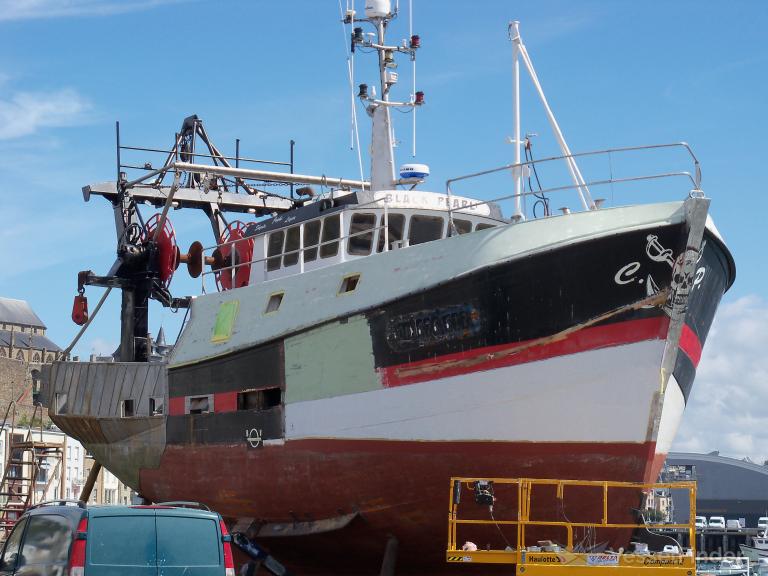 FV BLACK PEARL 1 photo