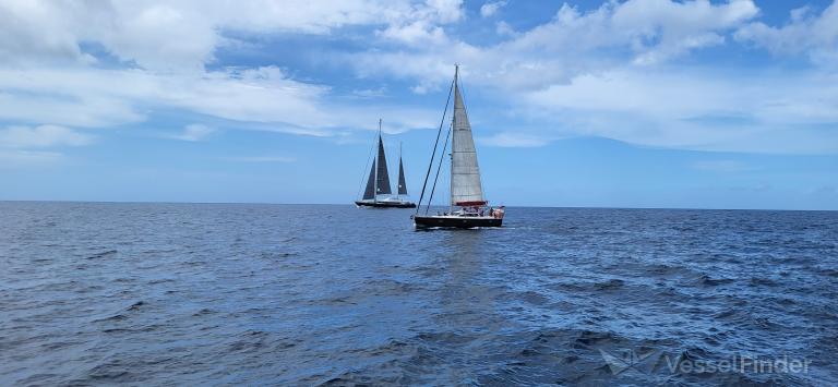 AOTEAROA photo