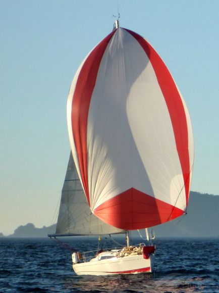 CDC3 SOLO SAILOR photo