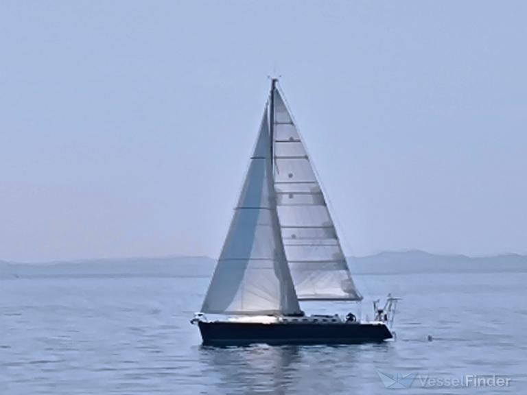 BOOMERANG6 photo