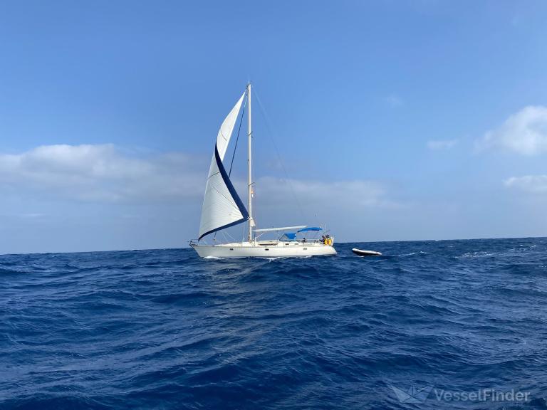 WANGA photo