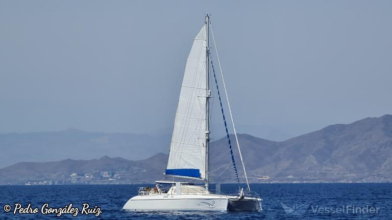 GOYAVE II photo