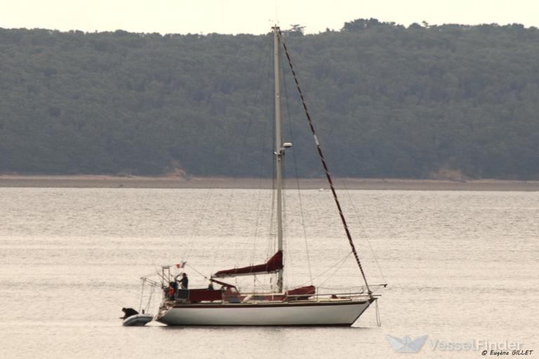 YLLIOP photo