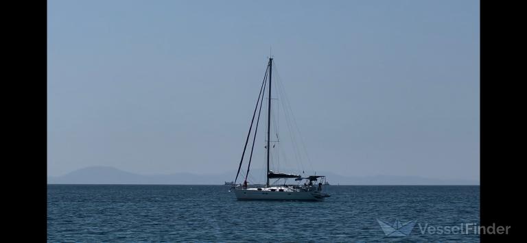 GALAXIDI photo