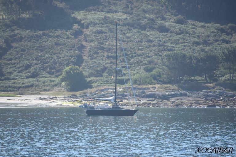 MAURICE photo