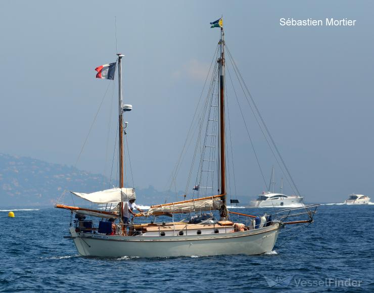 NIZOU 4 photo