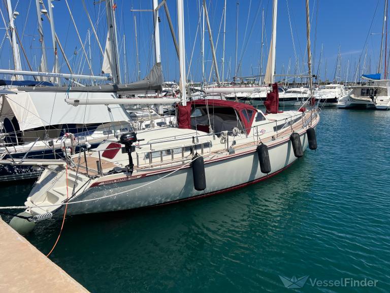 GYPSEA photo
