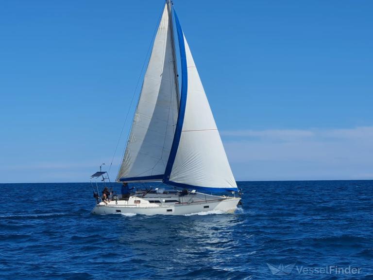 SANTALINO photo