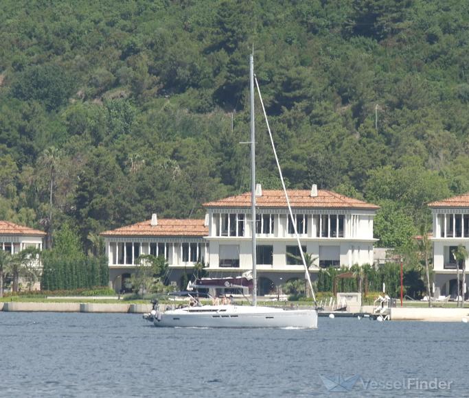 IPHEGENIA photo