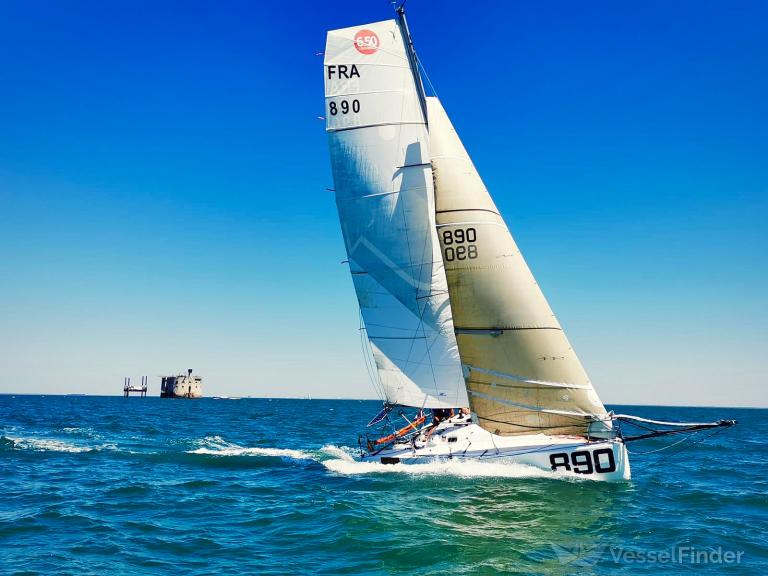 SOLEY SOLO SAILOR photo