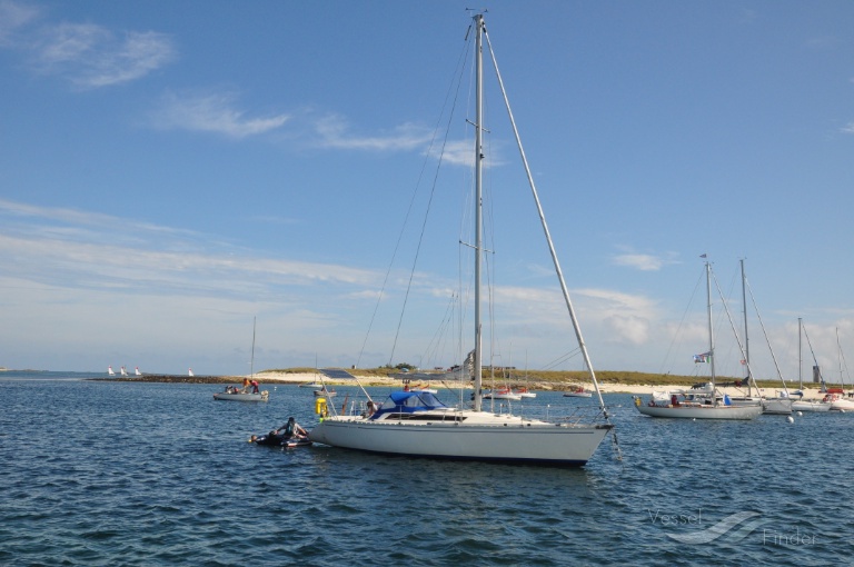 ADELIE SOLO SAILOR photo