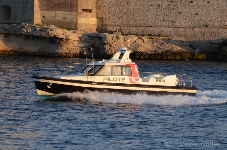 PILOT BOAT 215 photo