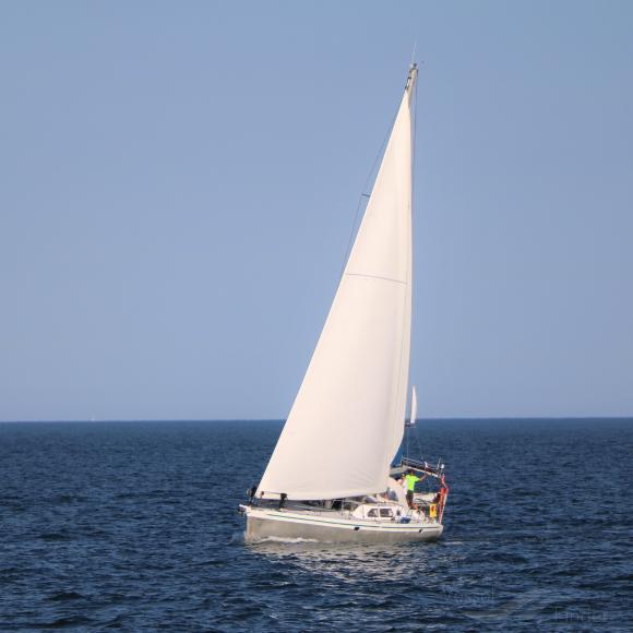 MOJITO photo