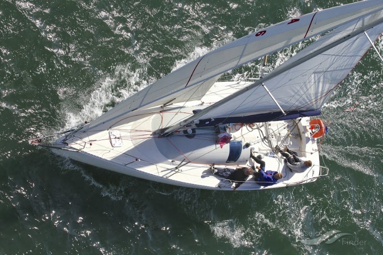 KIKO SOLOSAILOR photo