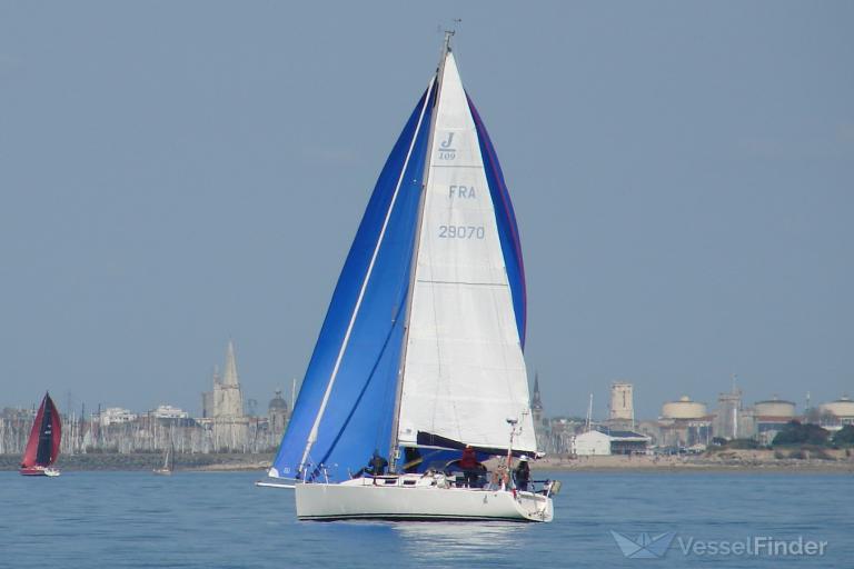 QUINQUINA photo